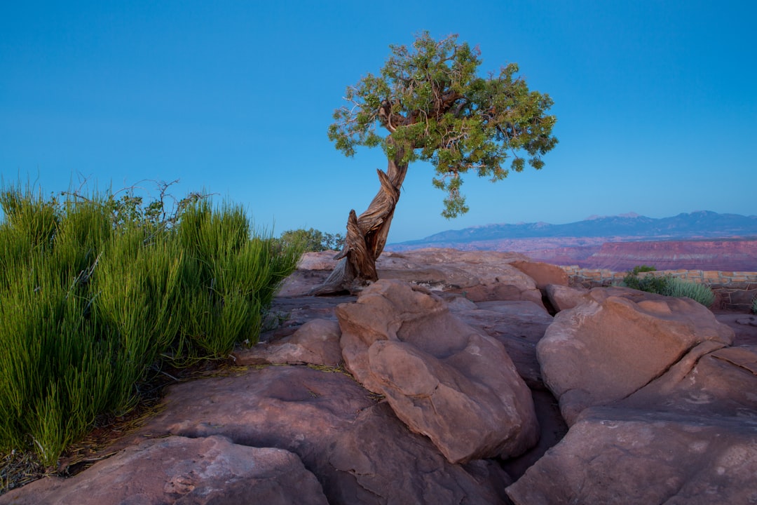 Embracing the Great Outdoors: A Journey to Self-Discovery Embracing the Great Outdoors: A Journey to Self-Discovery