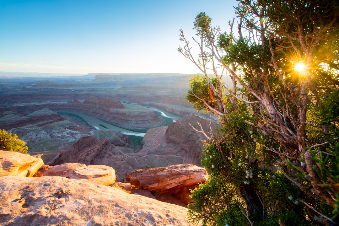 Embracing the Wild: A Journey into Outdoor Adventure Travel Embracing the Wild: A Journey into Outdoor Adventure Travel